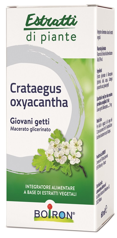 CRATAEGUS OXYACANTHA MACERATO GLICERICO 60 ML INT - Farmacianumberone.it