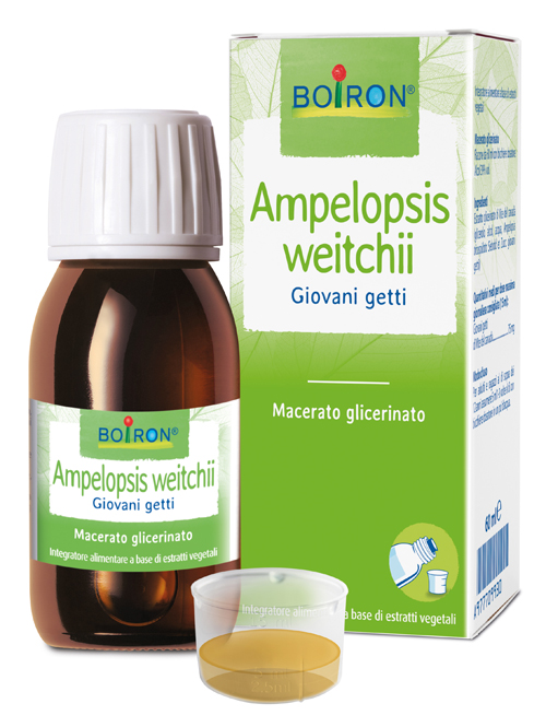 AMPELOPSIS WEITCHII MACERATO GLICERICO 60 ML INT - Farmacianumberone.it