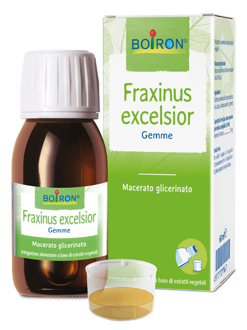 FRAXINUS EXCELSIOR MACERATO GLICERICO 60 ML INT - Farmacianumberone.it