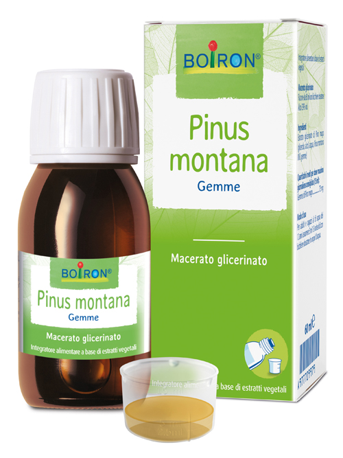 PINUS MONTANA MACERATO GLICERICO 60 ML INT - Farmacianumberone.it