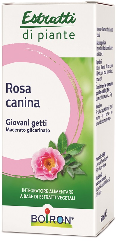 ROSA CANINA MACERATO GLICERICO 60 ML INT - Farmacianumberone.it