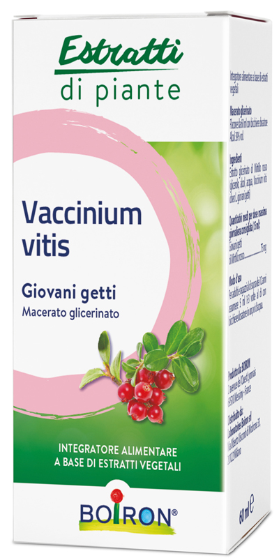 VACCINIUM VITIS MACERATO GLICERICO 60 ML INT - Farmacianumberone.it