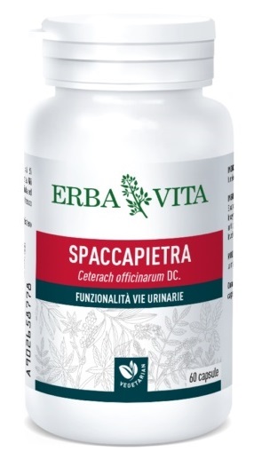 SPACCAPIETRA 60 CAPSULE - Farmacianumberone.it