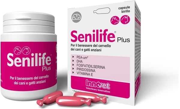 SENILIFE PLUS 60 CAPSULE - Farmacianumberone.it