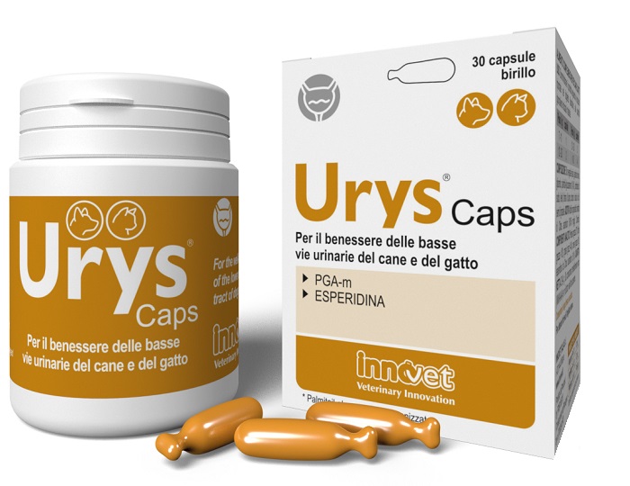 URYS CAPS 30 CAPSULE - Farmacianumberone.it