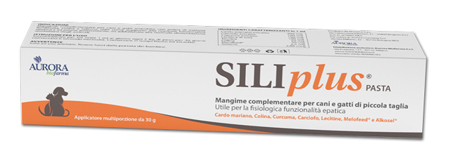 SILIPLUS PASTA 30 G - Farmacianumberone.it